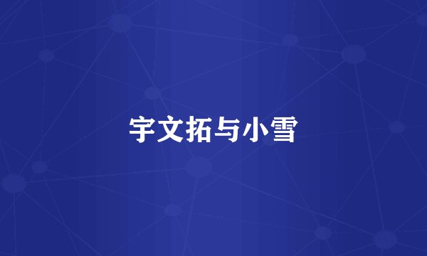 宇文拓与小雪