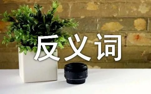 暂时的反义词