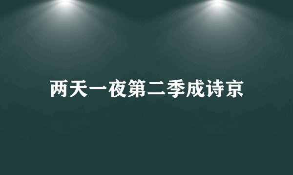 两天一夜第二季成诗京