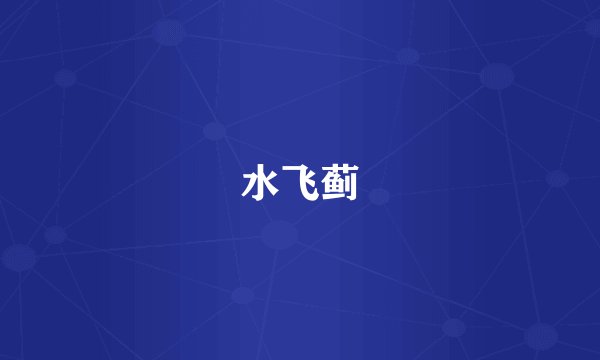水飞蓟
