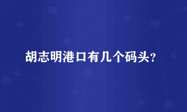 胡志明港口有几个码头？