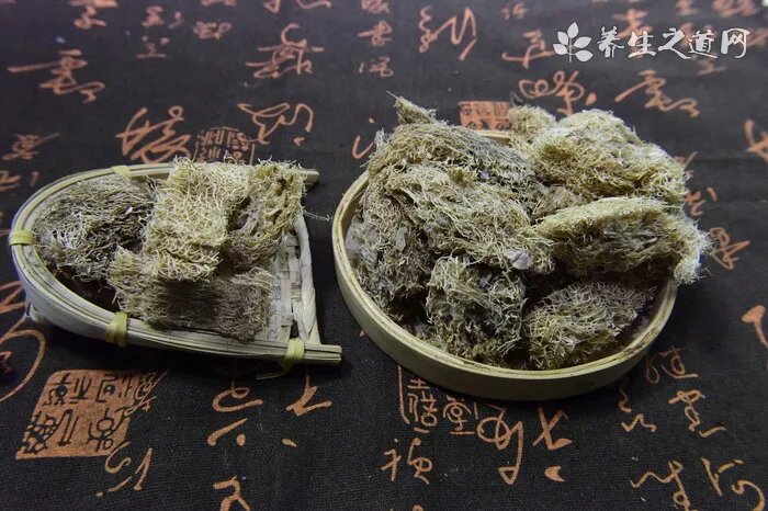 仙鱼怎么养？养仙鱼经常出错可能就是他们造成的