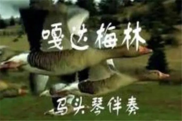 十大好听的马头琴曲 《天边》上榜,首首单曲循环都不觉够
