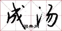 成汤