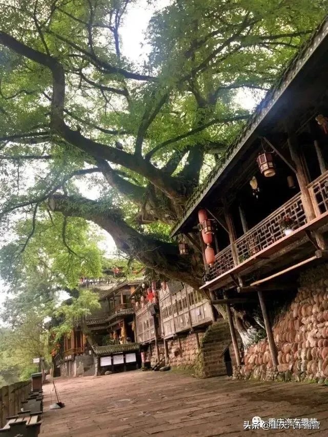 柳江古镇住宿哪家比较好?