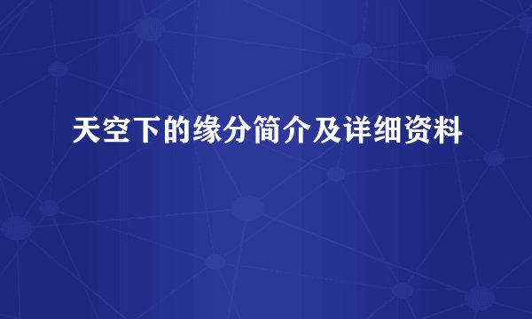 天空下的缘分简介及详细资料