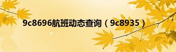 9c8696航班动态查询（9c8935）