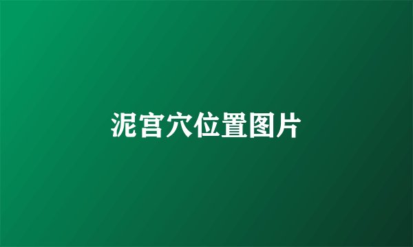 泥宫穴位置图片