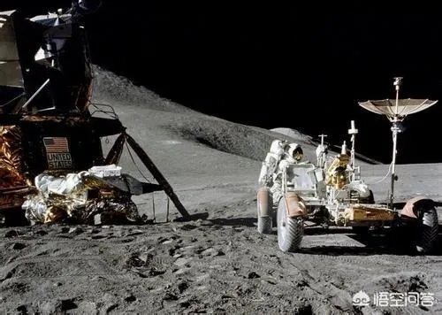 如何防治外来生物入侵?