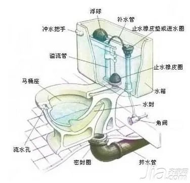 坐便器结构图解 坐便器选购技巧