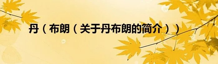 丹（布朗（关于丹布朗的简介））