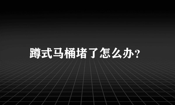 蹲式马桶堵了怎么办?