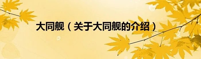 大同舰（关于大同舰的介绍）