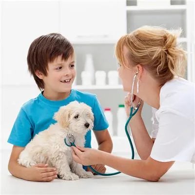 哪些动物有狂犬病毒?