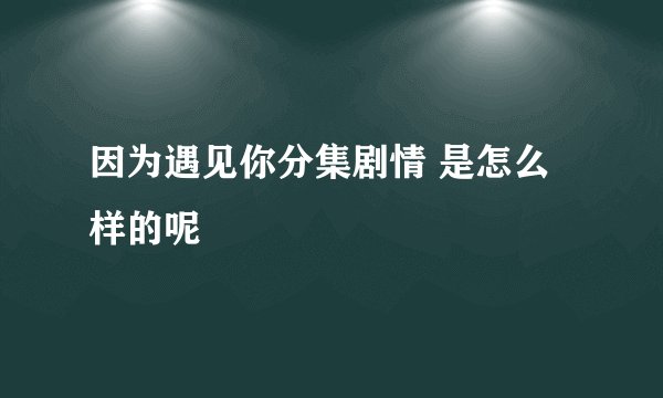 因为遇见你分集剧情 是怎么样的呢