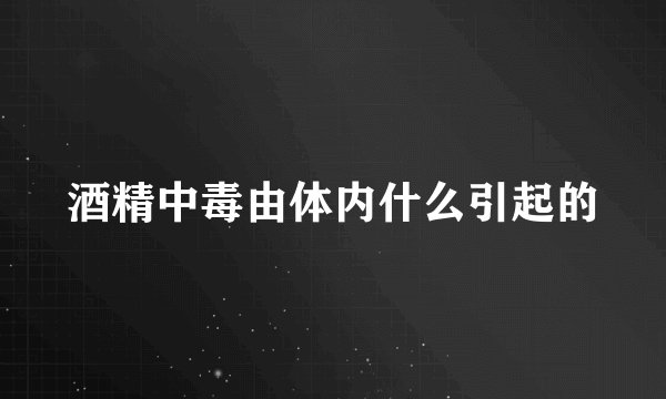 酒精中毒由体内什么引起的