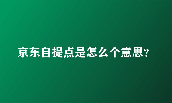 京东自提点是怎么个意思？