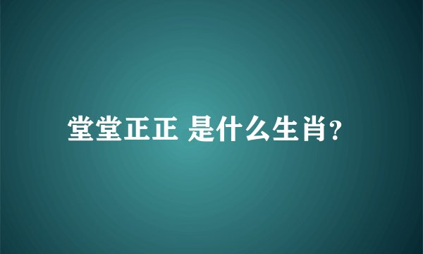 堂堂正正 是什么生肖？