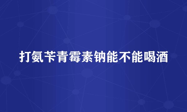 打氨苄青霉素钠能不能喝酒