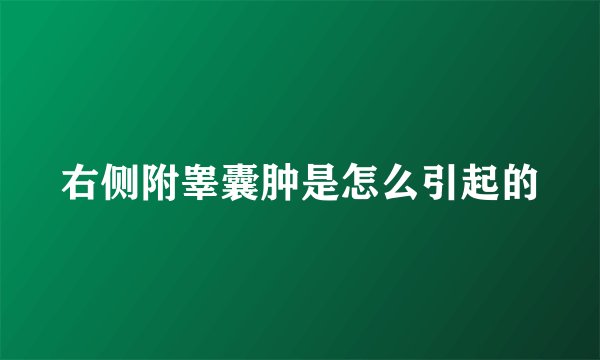 右侧附睾囊肿是怎么引起的