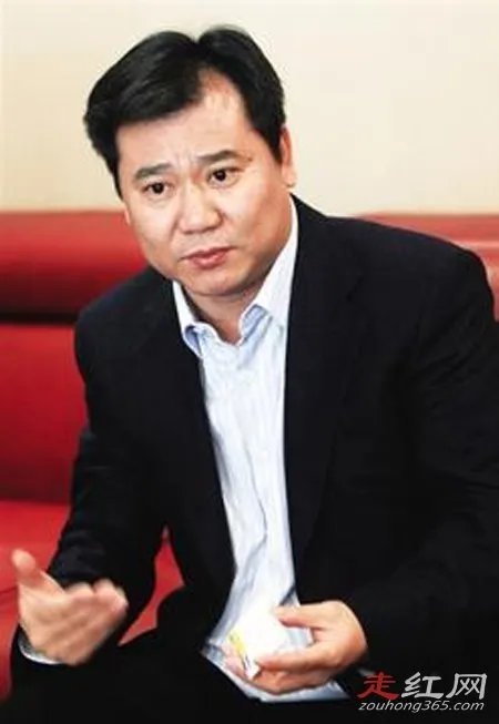 张近东是怎么发家的 老婆陈怡资料近照长什么样