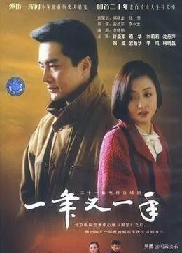 如何评价电视剧《一年又一年》?