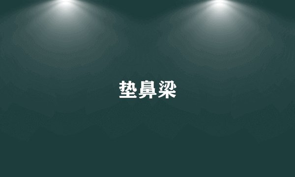 垫鼻梁