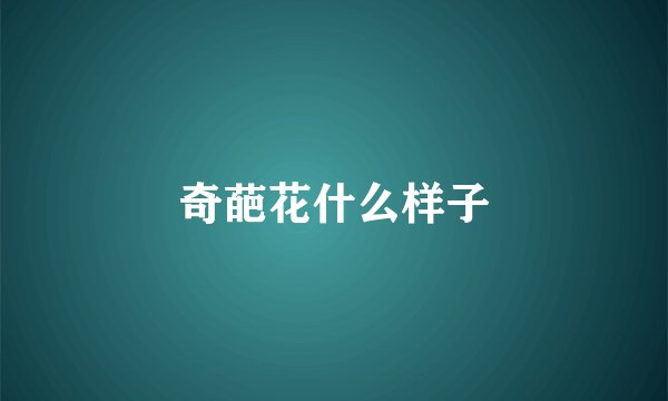 奇葩花什么样子