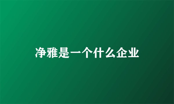 净雅是一个什么企业