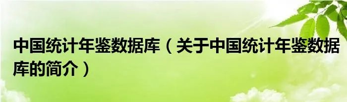 中国统计年鉴数据库（关于中国统计年鉴数据库的简介）