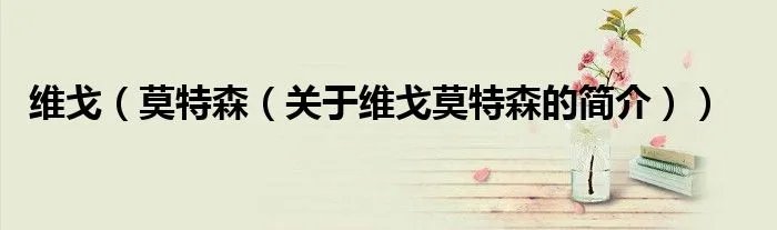维戈（莫特森（关于维戈莫特森的简介））