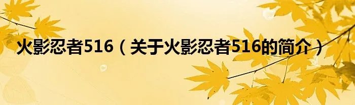 火影忍者516（关于火影忍者516的简介）