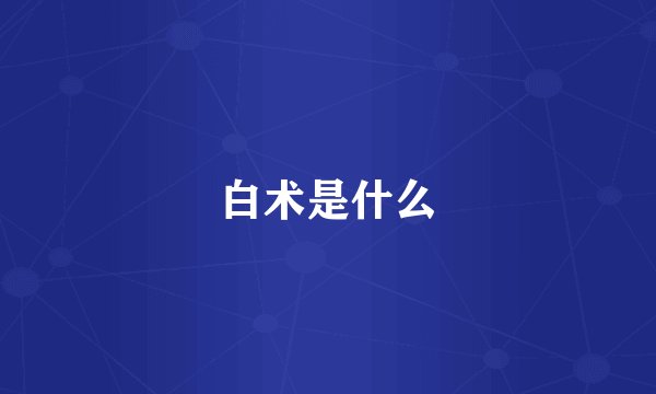 白术是什么