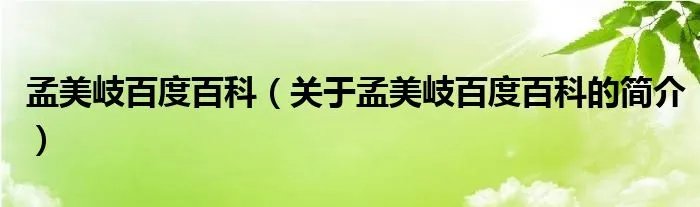孟美岐百度百科（关于孟美岐百度百科的简介）