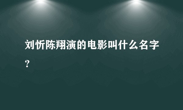 刘忻陈翔演的电影叫什么名字？