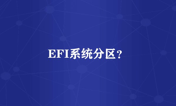 EFI系统分区？