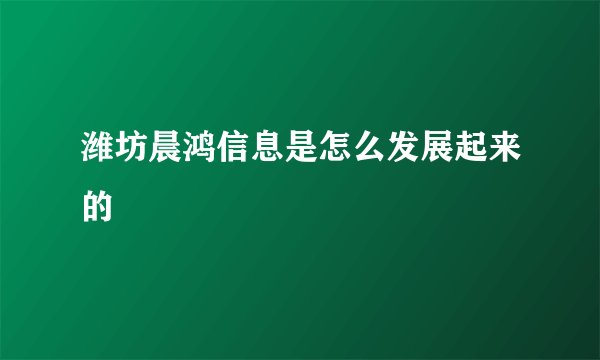 潍坊晨鸿信息是怎么发展起来的