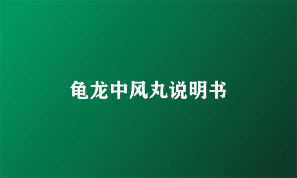 龟龙中风丸说明书