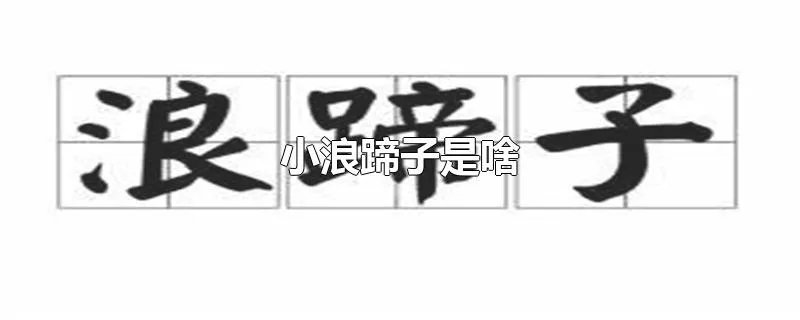 小浪蹄子是啥