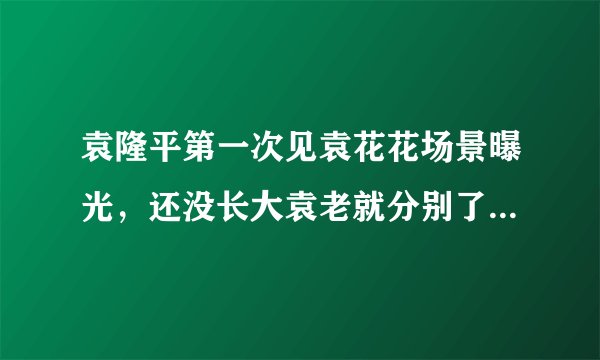 袁隆平第一次见袁花花场景曝光，还没长大袁老就分别了(附视频)—飞外