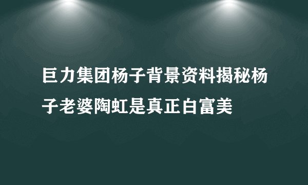 巨力集团杨子背景资料揭秘杨子老婆陶虹是真正白富美