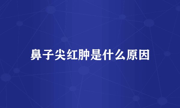 鼻子尖红肿是什么原因