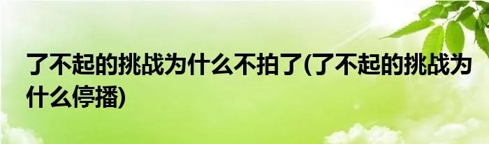 了不起的挑战为什么不拍了(了不起的挑战为什么停播)
