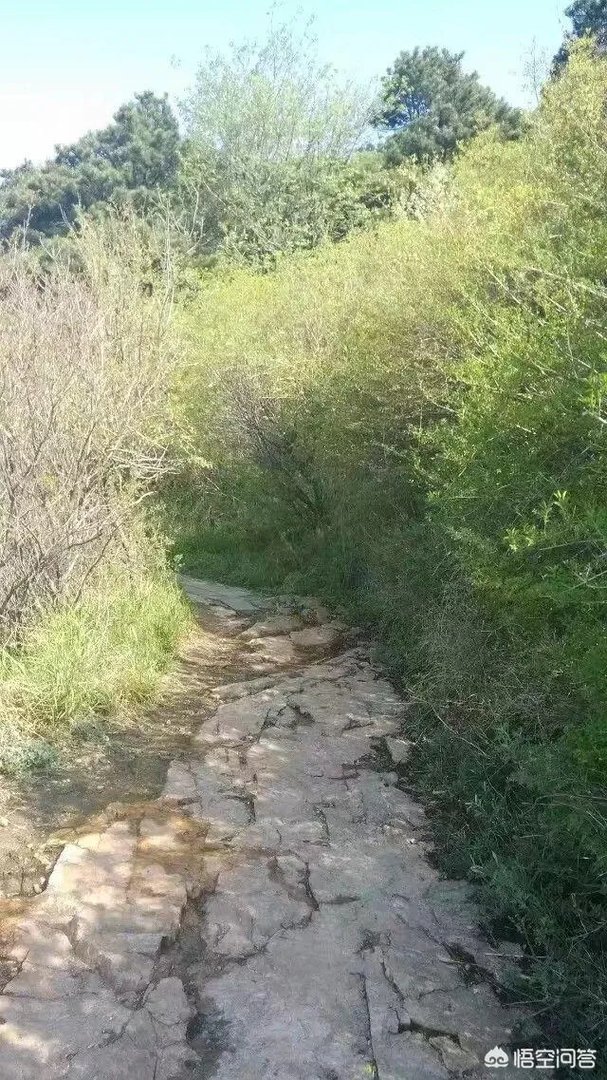 想去河南登封旅游2天,该怎么规划?
