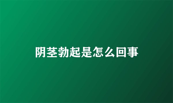 阴茎勃起是怎么回事
