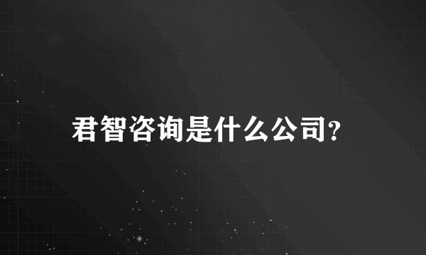 君智咨询是什么公司？