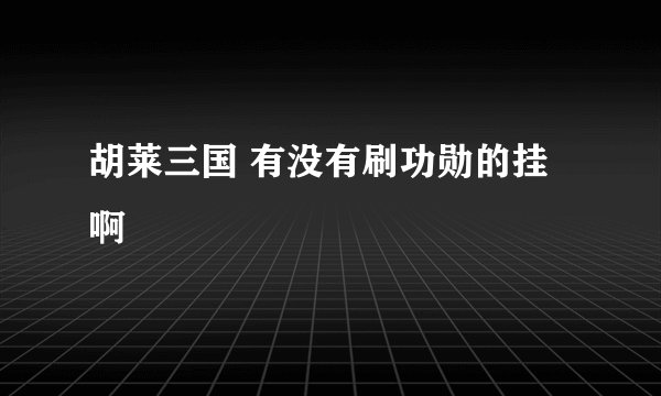 胡莱三国 有没有刷功勋的挂啊