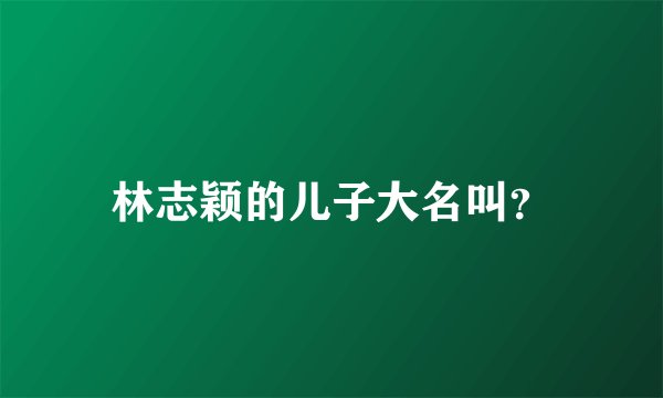 林志颖的儿子大名叫？
