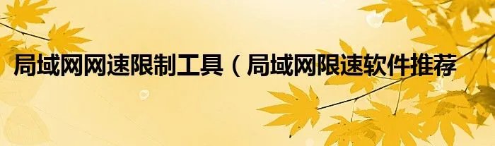局域网网速限制工具（局域网限速软件推荐