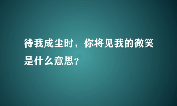 待我成尘时，你将见我的微笑是什么意思？